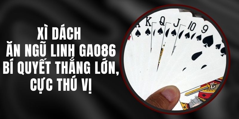 Xì Dách Ăn Ngũ Linh Gao86 - Bí Quyết Thắng Lớn, Cực Thú Vị